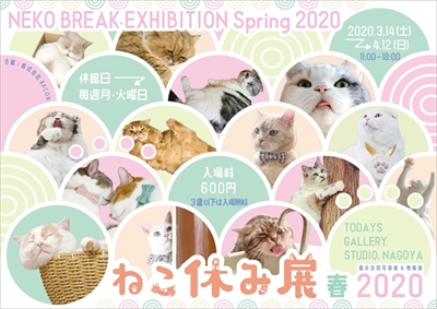 ねこ休み展 春