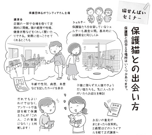 「保護猫との出会い方」1