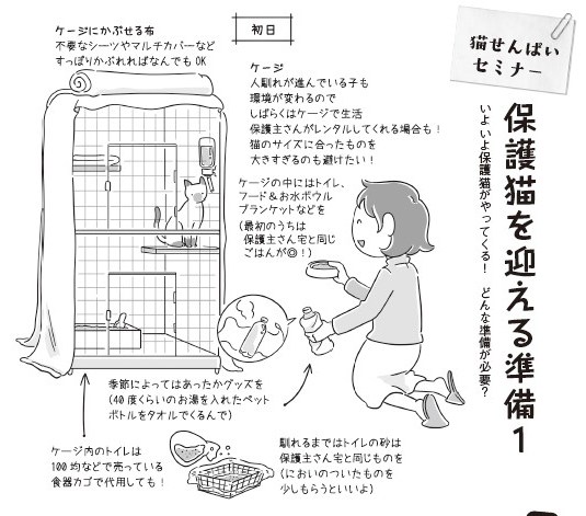 「保護猫を迎える準備1」1