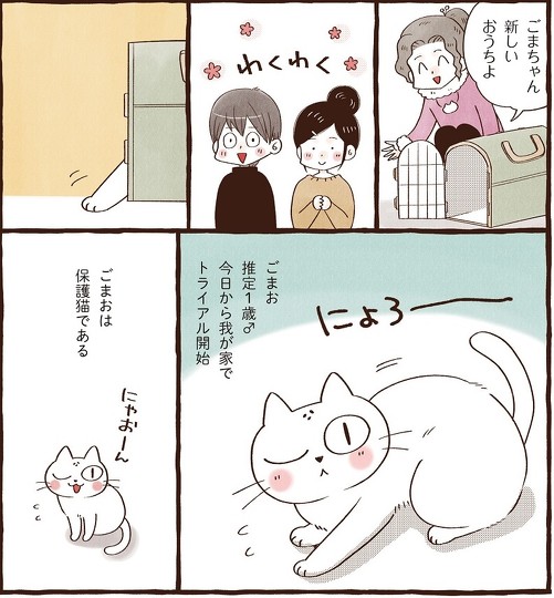 鈴木とシャルロット夜鳴き