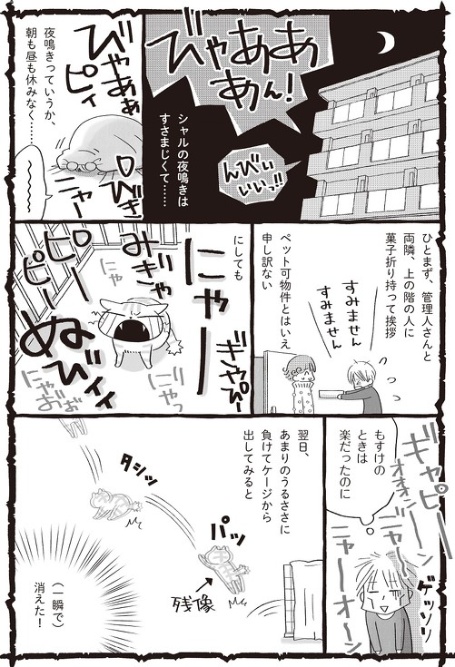 鈴木とシャルロット眠る猫