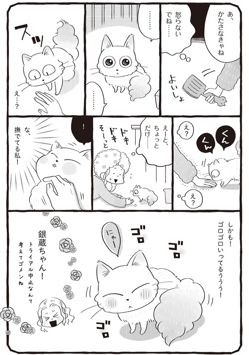 ジュリちゃんとまめちゃん１コマ