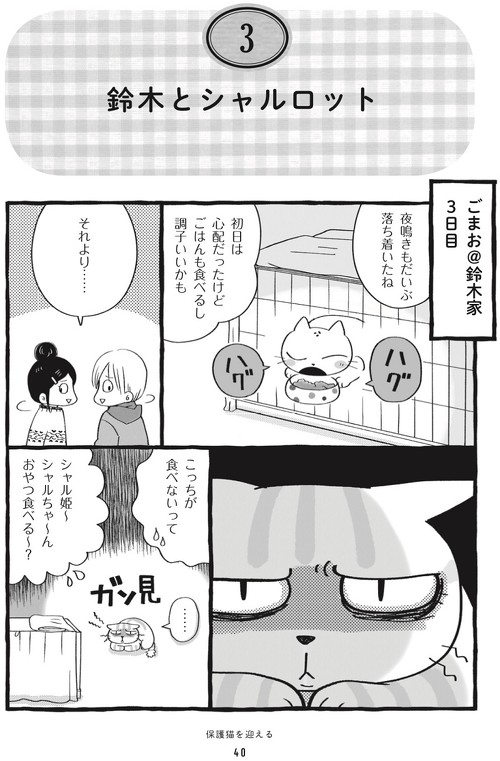 鈴木とシャルロット1