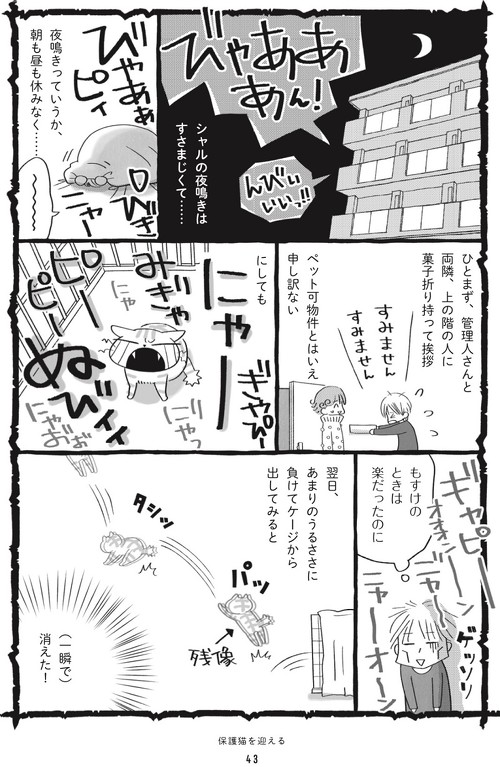 鈴木とシャルロット4