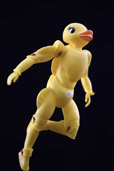 ぷかぷか アヒル 7個 針金 全身が動く 人形 魔改造 100均 安居智博