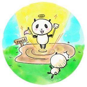 パンダ　パンダ沼