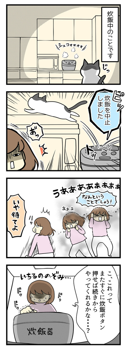 炊飯が中止されましたの悲しみ1