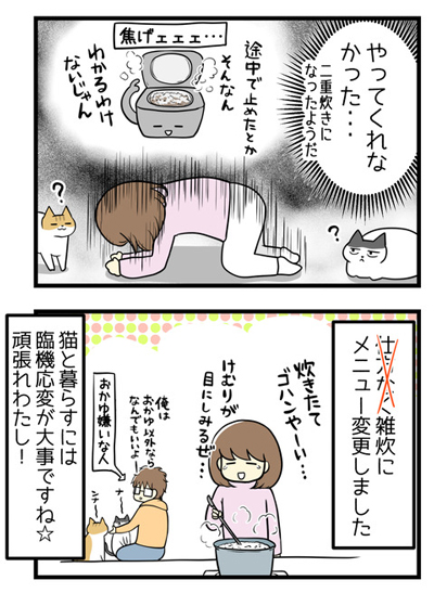 炊飯が中止されましたの悲しみ2