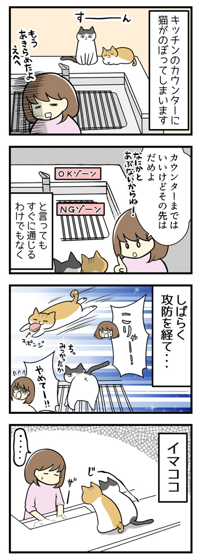 キッチンで猫と攻防しています1