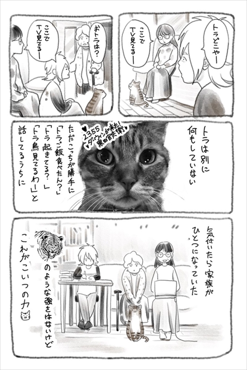 トラがうちにきた話
