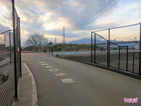 現れたサイクリングロード。これが、県道……!?