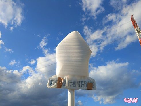自転車歩行者専用道路の文字が見えます