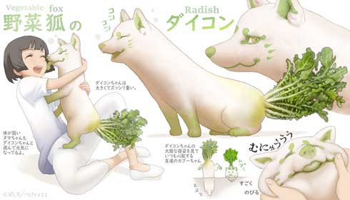 野菜 動物 妖精 キャラクター イラスト ダイコン 狐 ぽん吉