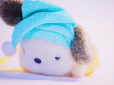 ポチャッコ生誕祭