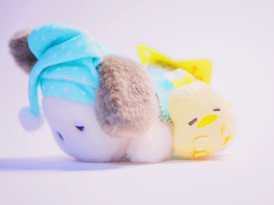 ポチャッコ生誕祭