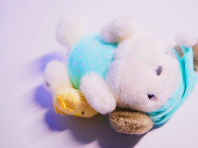 ポチャッコ生誕祭