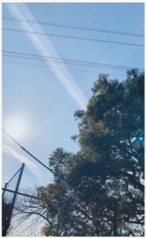 鈴木福 中学校 卒業式 新型 コロナ 休校 政府 要請 ブログ