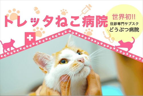 トレッタねこ病院