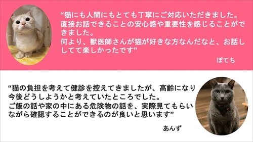 トレッタねこ病院