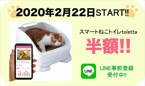 トレッタねこ病院