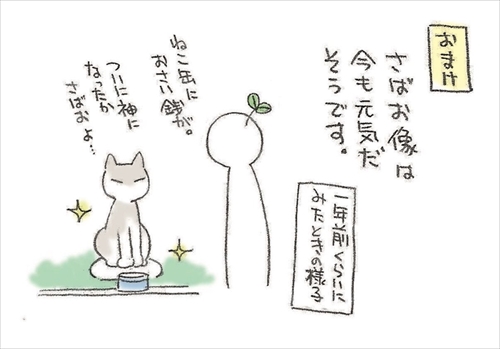 ムサ美の猫