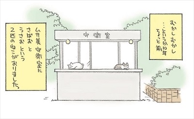 大学猫