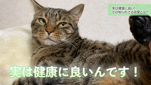 健康に良くできる画像