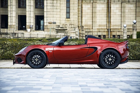 ブロンズカッパーレッド