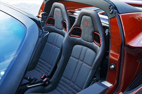 ブロンズカッパーレッド