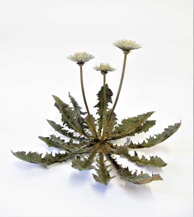 金属 造形 植物 花 タンポポ アート 作品 鈴木祥太