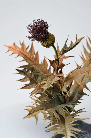 金属 造形 植物 花 タンポポ アート 作品 鈴木祥太