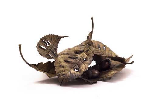 金属 造形 植物 花 タンポポ アート 作品 鈴木祥太