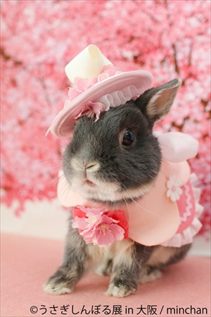 うさぎしんぼる展　大阪