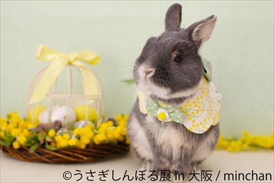 うさぎしんぼる展　大阪