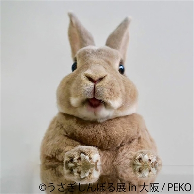 うさぎしんぼる展　大阪