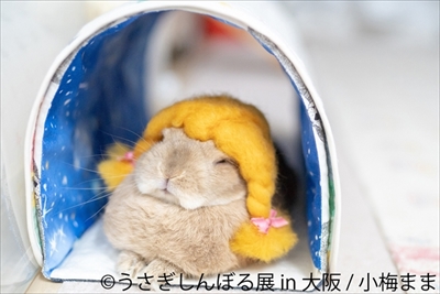 うさぎしんぼる展　大阪