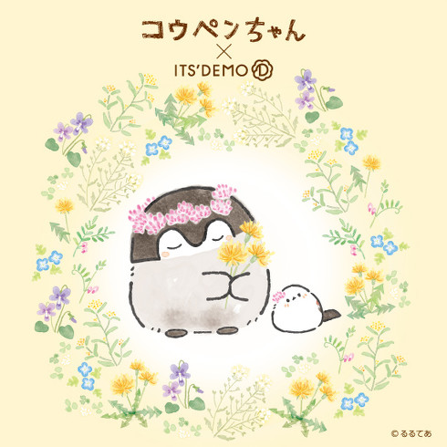 ITS'DEMO × コウペンちゃん