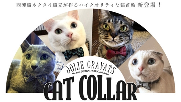 CAT　COLLAR
