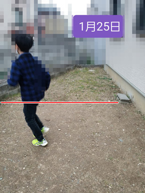 雑草全滅大作戦