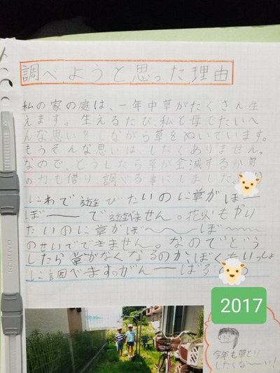 雑草全滅大作戦