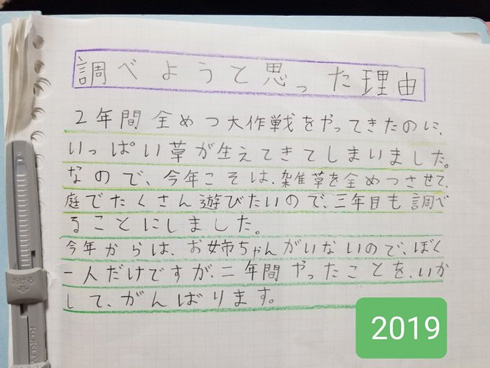 雑草全滅大作戦