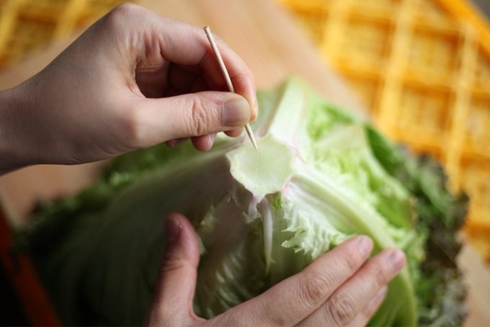 トマト 裏技 レタス 切り方