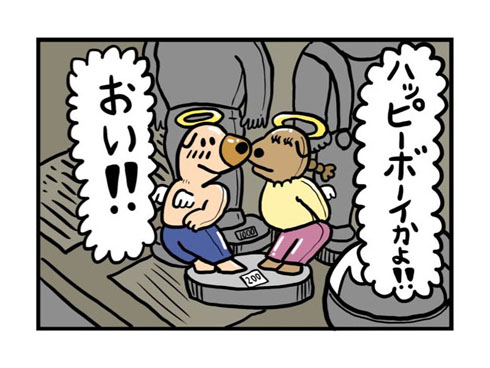 ハッピーボーイ