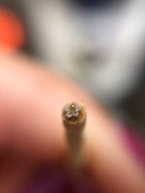 つまみ細工 ゴミみたいな大きさ 布 作る 花 こあめ 作品