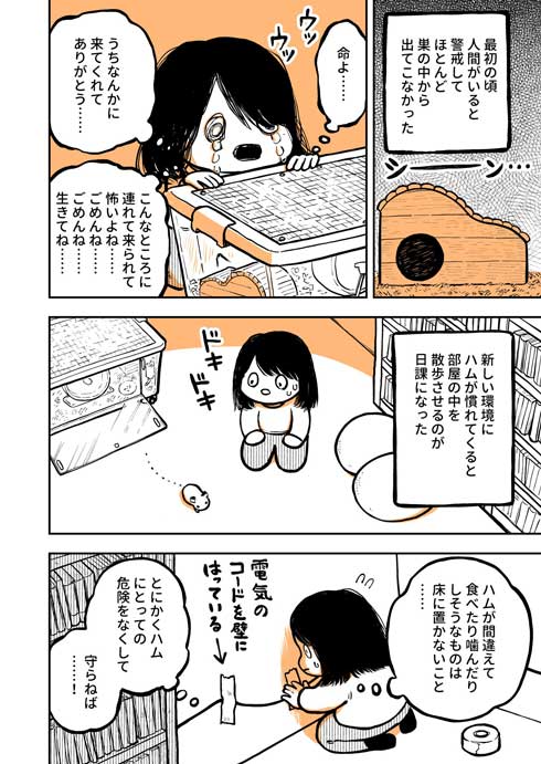 ハムスター 飼ってみて びっくり よじのぼる力 強い 漫画 園田ゆり