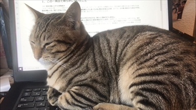 テレワーク最大の課題