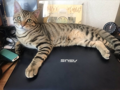 テレワーク最大の課題