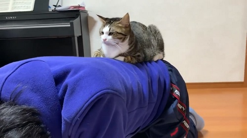 左の方を見るオデコさん