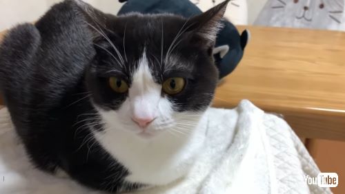 ひまわりお母さんアップ