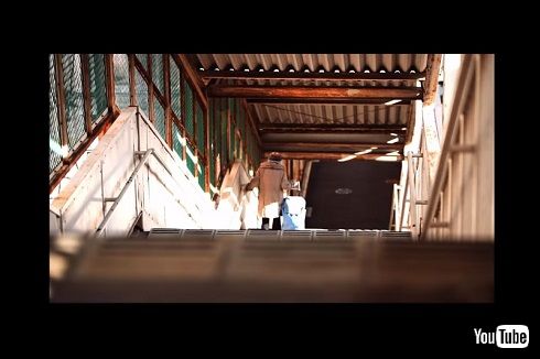  RADWIMPS 野田洋次郎 世界の果て 3.11ソング 2020年